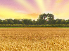 九游在线体育平台基地展示3